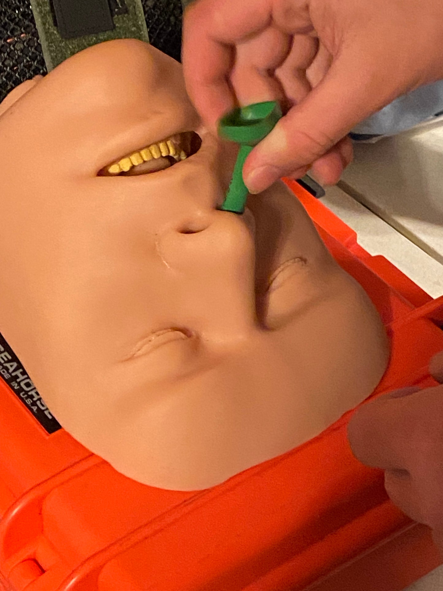 Homestead Medicine Level 1 Class August 8-9, Tap Rack Ridge 3649 KY-233
Gray, KY 40734