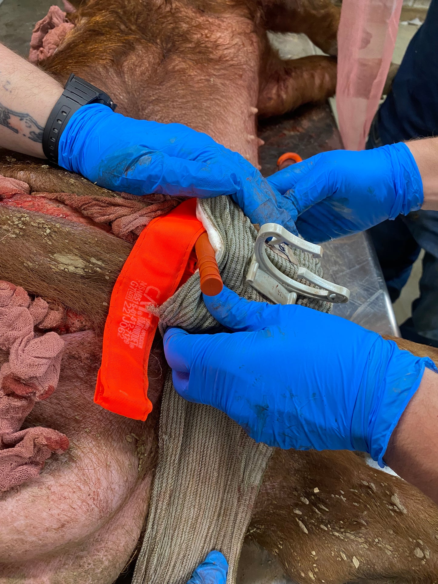 Homestead Medicine Level 1 Class August 8-9, Tap Rack Ridge 3649 KY-233
Gray, KY 40734